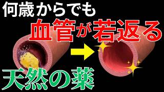 【何歳からでも血管を若返らせる】天然の薬を効果的に増やし病気のリスクを下げる方法を徹底解説