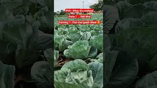 Weekend Farming | Cabbage Farming| #trending #viralvideo #viral #shorts #youtubeshorts