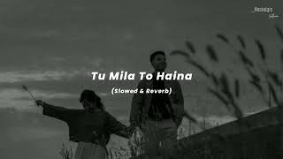 Tu Mila To Haina - (Slowed & Reverb) | Arijit Singh | De De Pyaar De | Nostalgic