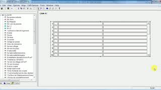 CSPro - missing roster labels