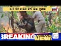 ହୁତୁହୁତୁ ଜଳୁଛି ଶିମିଳିପାଳ forest fires break out in similipal tiger reserve similipal fire