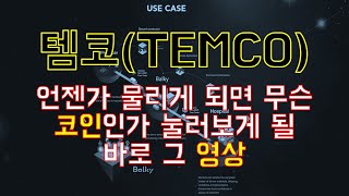 템코(TEMCO)  2부_  훗날에 성지순례하러 오실 겁니다(내재가치, 투자관점, 장점, 단점)