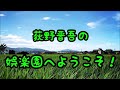 【家庭菜園】きゅうり栽培～植え付け・支柱立て・ネット張り編～ 2023.5.28