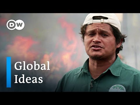 What are the effects of slash and burn?