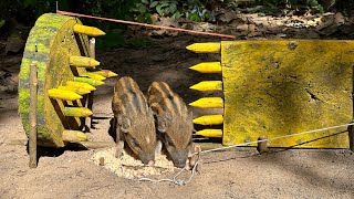 Build Unique Primitive Wild boar Trap #wildanimal #shortvideo