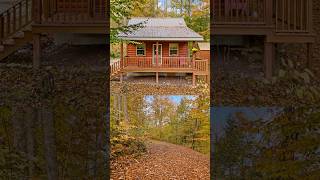 $200,000 Kentucky Cabin | 5 Acres | 324 Trillium Ln, East Bernstadt, KY 40729