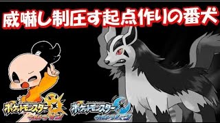 番犬グラエナは威嚇で制圧す！全てのポケモンに輝きをシリーズ：グラエナ編【ポケモンUSUM】