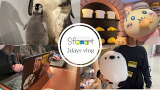 【vlog】スフマート編集部の取材2days【ちいかわベーカリー／国立科学博物館】