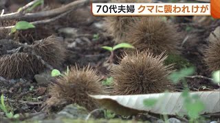 ７０代夫婦がクマに襲われケガ… 生ゴミ・果樹の放置に注意！繰り返し出没する恐れ【新潟】 (23/09/04 18:50)