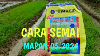 CARA SUKSES SEMAI PADI MAPAN 05 2024