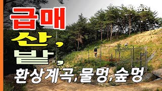 [4048] 급매 산 밭 환상계곡 물멍 숲멍 진부령 고성군 간성읍 장신리 - 박부동산TV