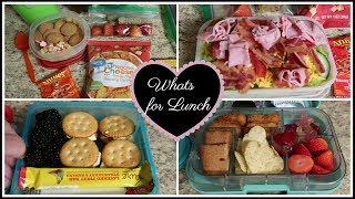 A week of lunches | Lunch Ideas for everyone!