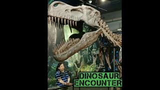 🦕 DINOSAUR ENCOUNTER 🦖