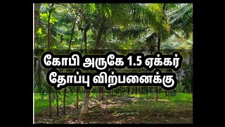 #PR144 கோபி அருகே 1.5 ஏக்கர் தோப்பு விற்பனைக்கு