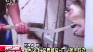 20120627-公視晚間新聞-灌水虐牛 業者喊冤：工人個人行為.mpg