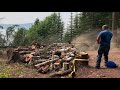 felling trees with a portable winch