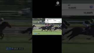 川田将雅に魂を込めた漢の末路 #競馬 #貧乏競馬 #万馬券