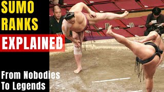 Sumo Ranks EXPLAINED: From Teen Rookies to Grand Champions in 5 Minutes!