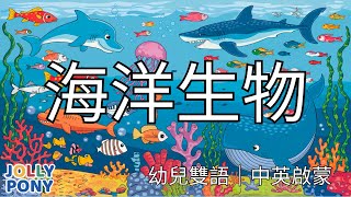 【認識海洋生物】幼兒雙語啟蒙 | 中英文學習 |  親子共讀  |  語言啟蒙 #JollyPonyStory