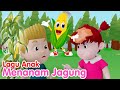 Lagu Anak MENANAM JAGUNG | Lagu Anak dan Balita | Lagu Kita Channel