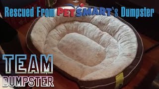 Rescuing The Top Paw Orthopedic Dog Bed Found in Petsmarts Dumpster | Team Dumpster