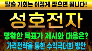 [주식]성호전자 - 명확한 목표가 제시와 대응은?