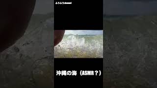 『ASMR？』沖縄の海の音　＃Shorts