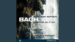 J.S. Bach: Cantata Freue dich, erlöste Schar, BWV 30: Part II. Ich will nun hassen (Bass)