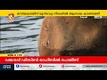 മസ്തകത്തിന് മുറിവേറ്റ നിലയിൽ കണ്ടെത്തിയ കാട്ടാനയെ ചികിത്സിക്കും athirapilly elephant