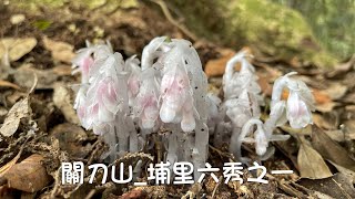 關刀山、埔里六秀