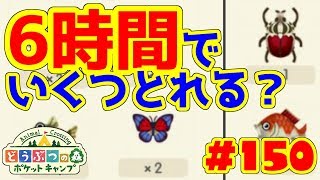 6時間でどれだけレア虫魚はとれる？【ポケ森】#150 6時間でレア虫魚がどれだけ取れるのかやってみた