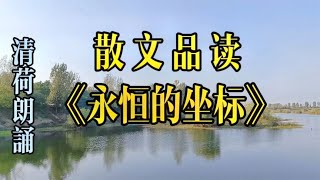 清荷朗诵散文品读《永恒的坐标》作者：罗振宇