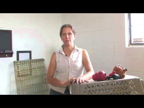 How to Stop a Dog From Barking in a Crate How to Stop a Dog From Barking in a Crate
