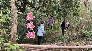 我跟老谭商量一起投资30000，养殖土鸡跟种植玉米，不知可不可行