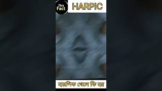 HARPIC খেলে কি হয়  fact ☠️☠️☠️#viral  #facts #shorts