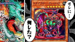 天盃龍対策にまたもや駆り出されるスケアクロー・クシャトリラ【遊戯王マスターデュエル】