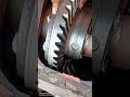 how to set crown pinion shorts shortvideo