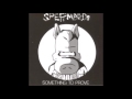 Spermbirds - You're Not A Punk