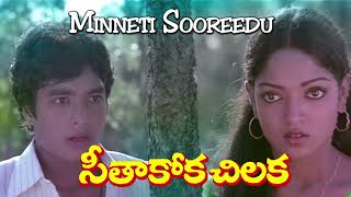 Minneti Sooreedu - సీతాకోక చిలక - Instrumental Music - #illayaraja #silksmitha #karthik #relaxing