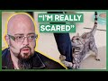Jackson Treats A Cat That Keeps Attacking Her Owner Every Night | My Cat From Hell