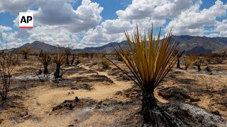 Storms could threaten desert firefighting efforts