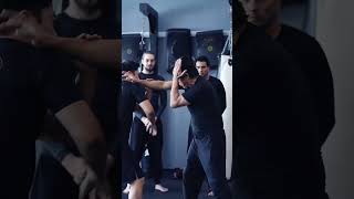 Wing Chun Trapping Entries