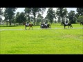 gelderse kampioenschappen pony s wezep 2012