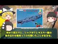 【ゆっくり解説】元祖ガンプラ転売ヤーあらわる！昭和のガンダムブームを徹底解説！！