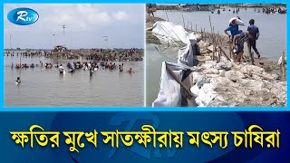 ‘বেতনা’ নদীর বাঁধ ভেঙে ৭০০ কোটি টাকার ক্ষতি, দিশেহারা মৎস্য  চাষিরা | River| fisherman| fish |Rtv