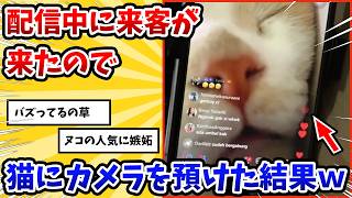 【2ch動物スレ】配信中に離籍することになったのでヌコにカメラを渡した→その結果www