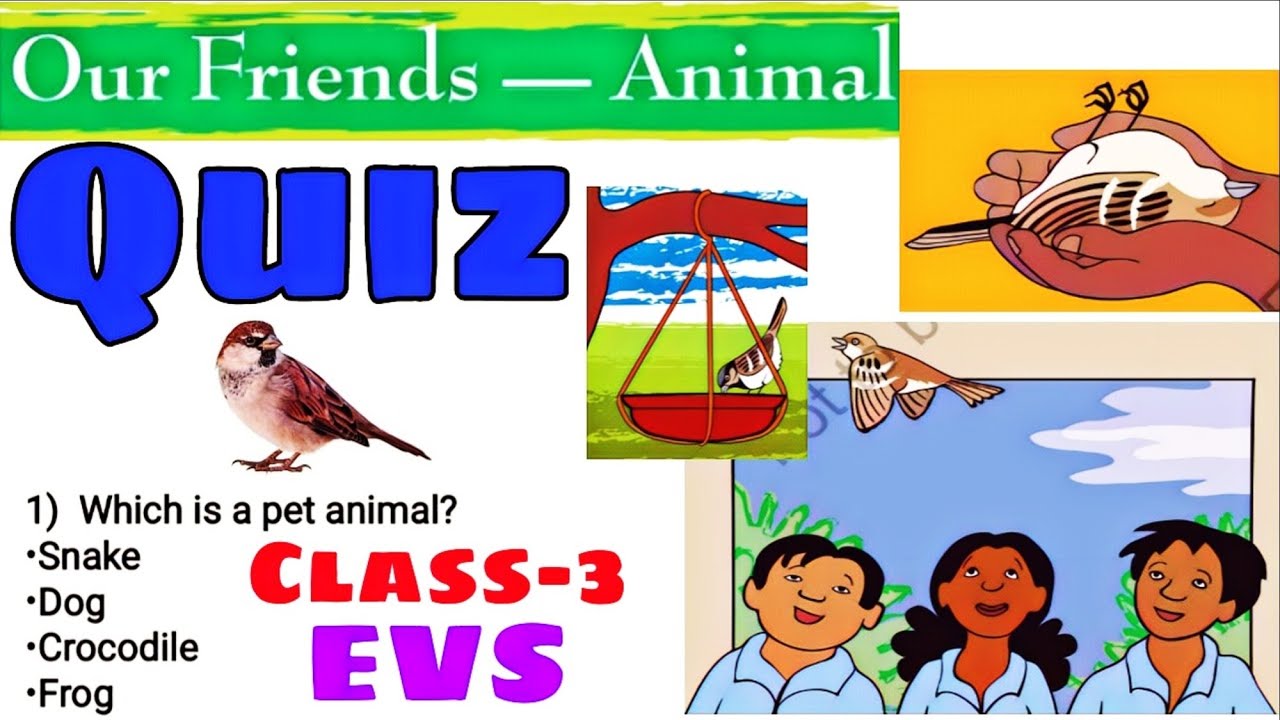 QUIZ / Our Friends Animals/ Class-3 EVS Extra MCQ Question Answers For ...