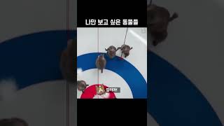 나만 보고 싶은 동물들