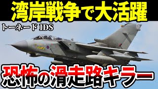 可変翼を活かして大活躍！パナビア トーネード【攻撃機 ゆっくり解説】