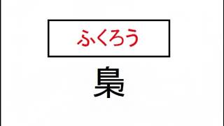 【鳥漢字クイズ】鳥の漢字の名前分かるかな！？初級編